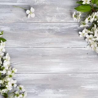 Фото фон вертикально