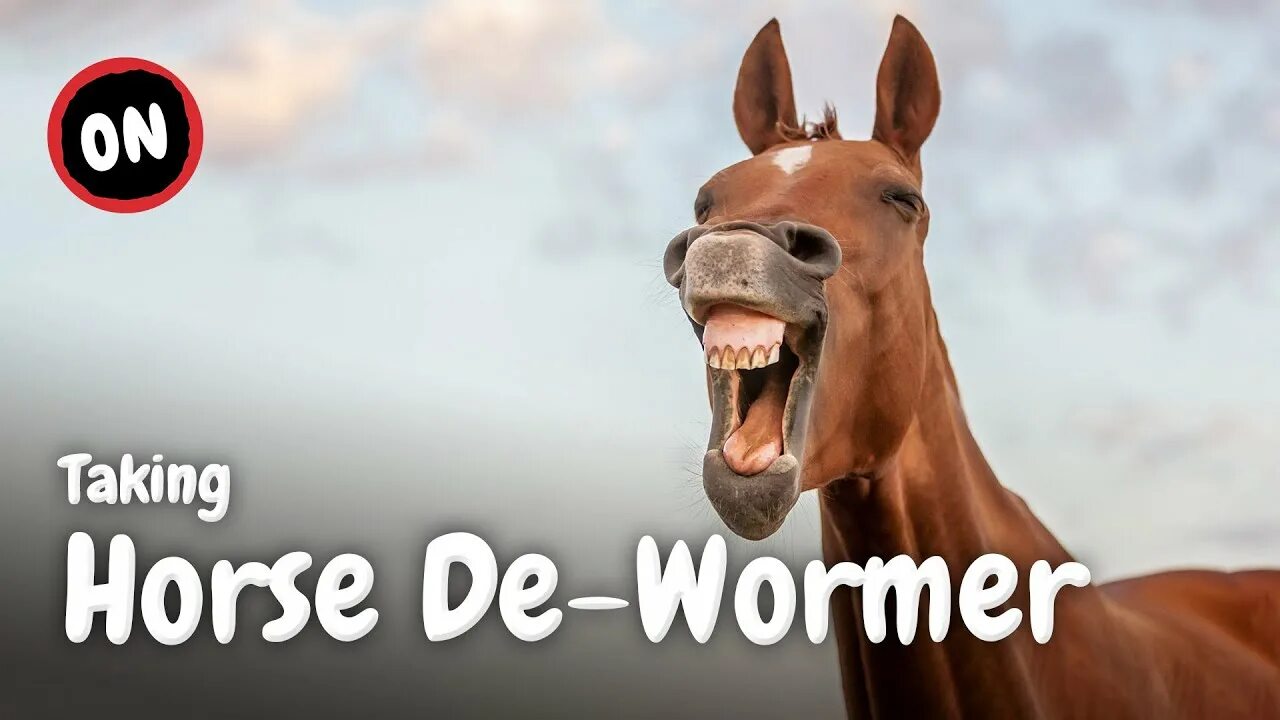 Как ржет конь. Лошадь ржет. Как ржет конь. Лошадь ржет. Конь улыбается.