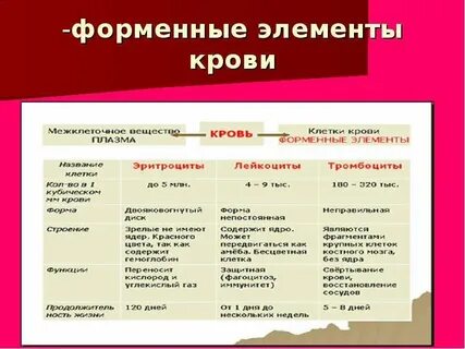 Перечислите форменные элементы