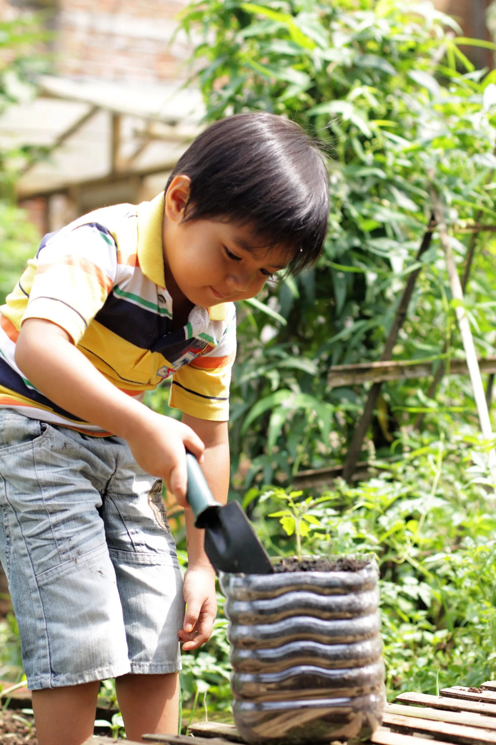 Boys plant. Высаживание детей на улице. Растение мальчик. Фото росла. Высаживание мальчика на улице.