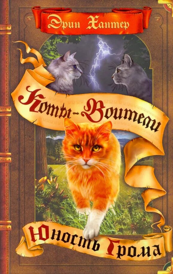 Писатель эрин хантер коты воители. Эрин хантер коты воители. Индейцы 17 века. Коты воители сверкающая звезда. Начало племен.