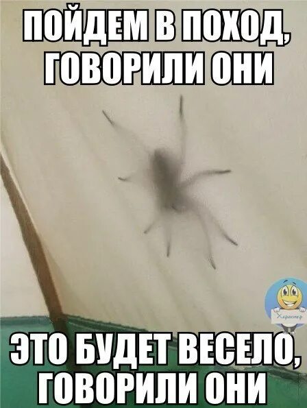 Будет весело говорили они. Будет легко говорили они. Будет легко говорили они. Поход прикол. Смешная хата.