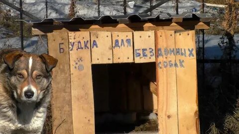 Видео будка