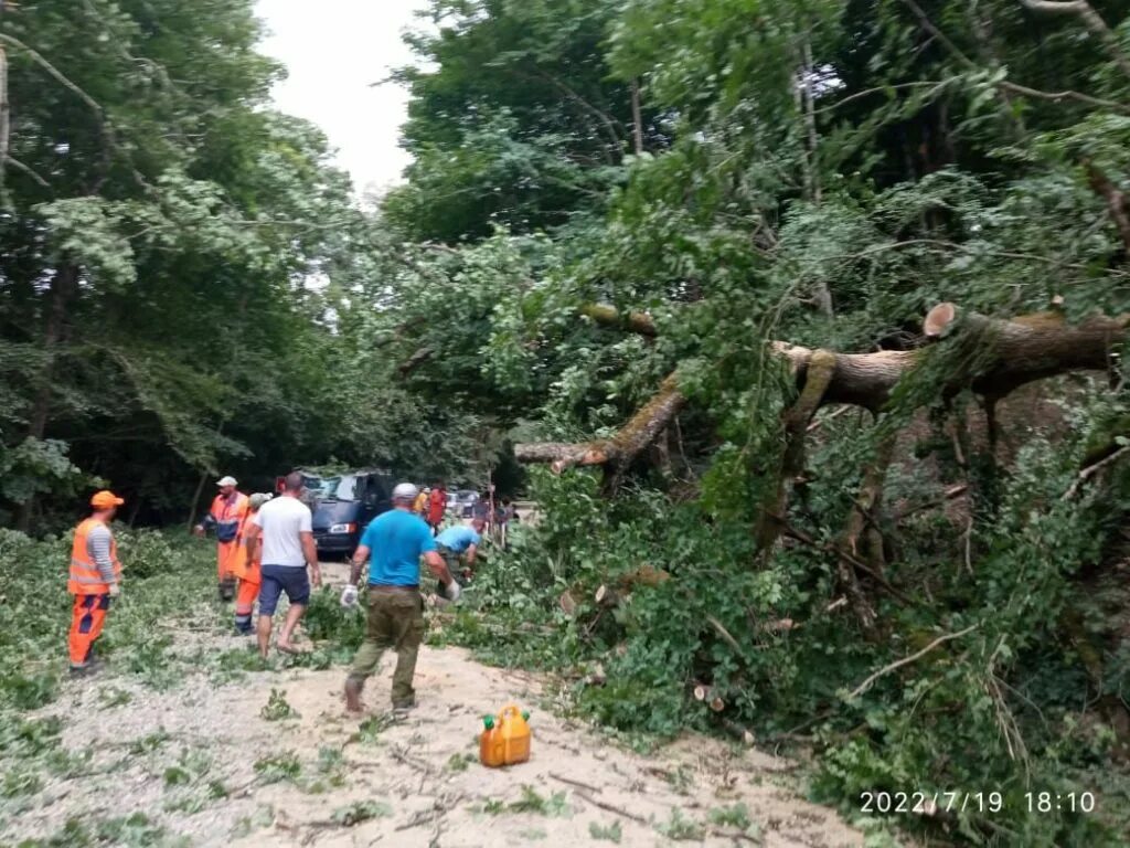 Поселок псебе. Погода в туапсинском районе на август. Погода в туапсинском районе на август. Дедеркой пляж. Ольгинка климат.