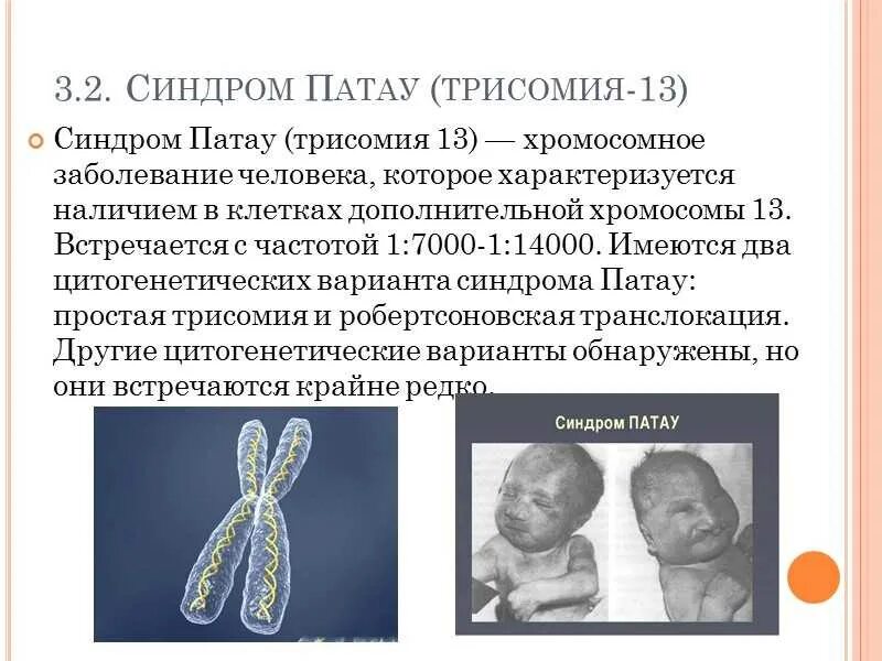 Наследственные заболевания человека мутации