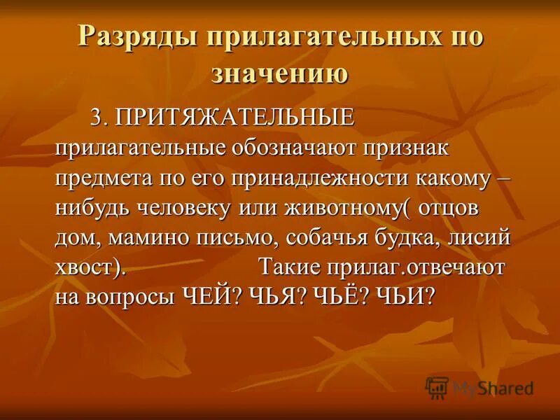 Лисьей какое прилагательное. Общее грамматическое значение. лисий хвост притяжательное прилагательное.
