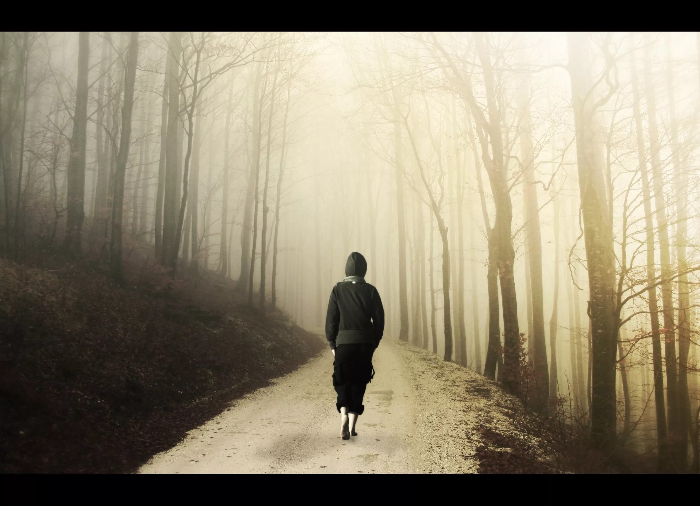 Alone картинки. Change the world слова. силуэт на рассвете. You can change the world. странник над морем тумана.