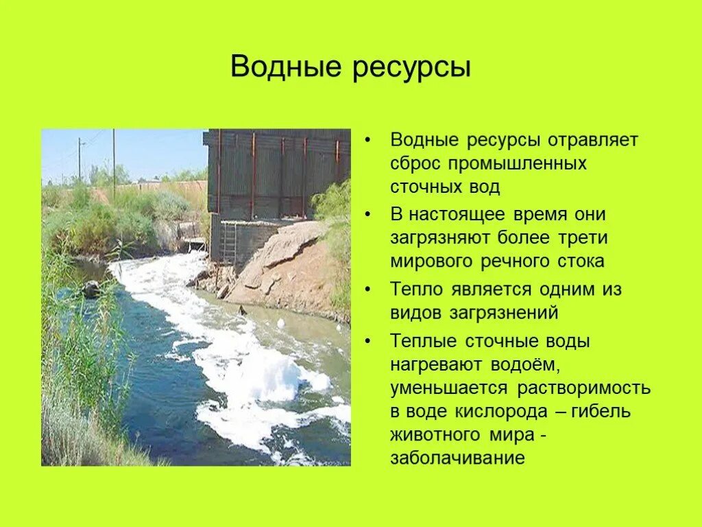 Водные богатства Рязанского. Водные богатства Рязанского края 4 класс?. Водные богатства Рязанской области. Водные богатства Рязанской области 2 класс. Водные богатства владимирской области