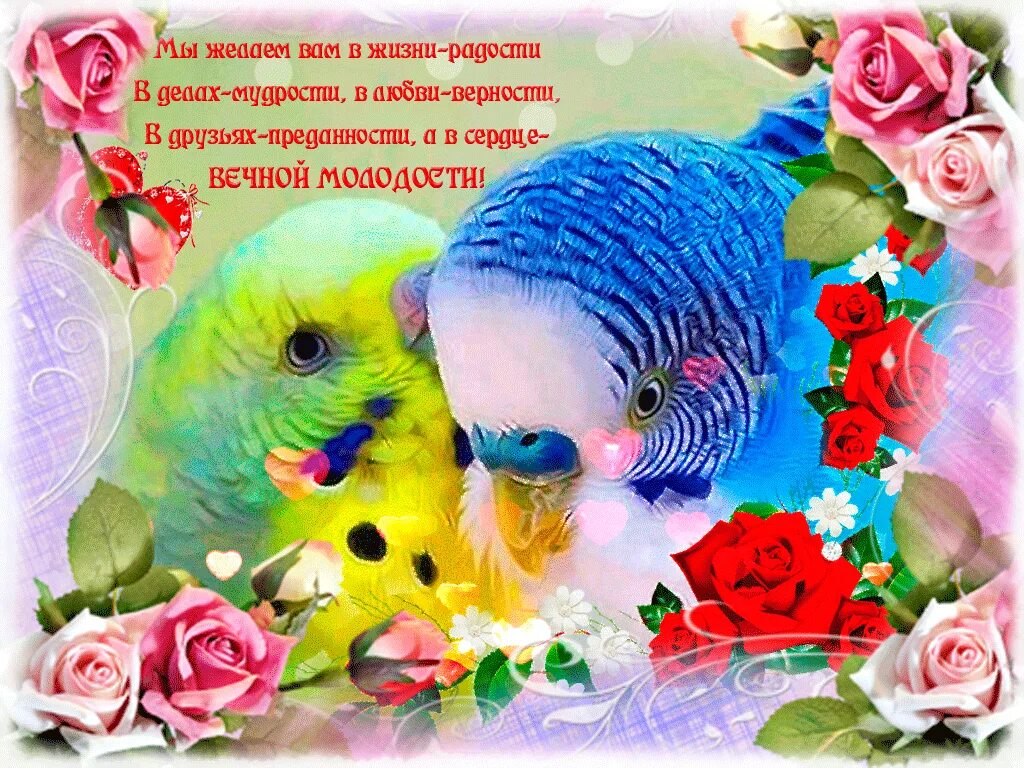Красивые пожелания мира и добра. Счастья радости добра мира и любви. Желаю вам добра и счастья. Открытки с пожеланиями мира