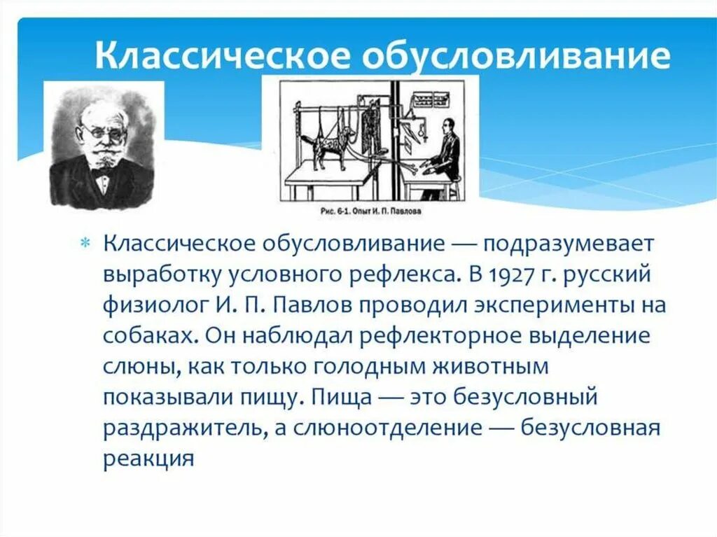 Теория и п павлова. Теория классического обусловливания (и.п. Павлов). Классическая теория условных рефлексов и.п. Павлова. Классическое обусловливание. Классическое обусловливание это в психологии.