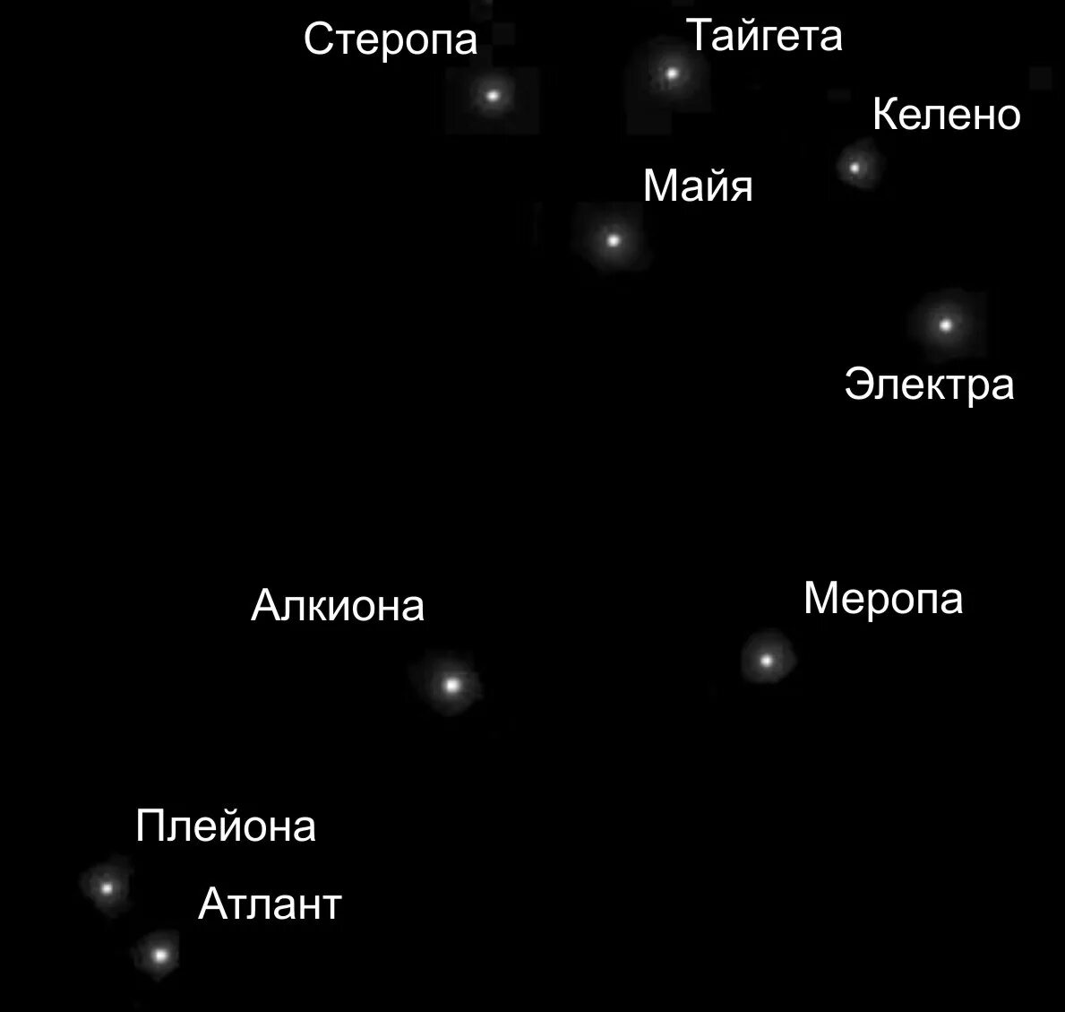 Название звезды на востоке. Созвездие Плеяд Созвездие Плеяды. Созвездие Орион с названиями звезд Плеяды. Плеяды в созвездии тельца. Плеяда Созвездие 7 сестёр.