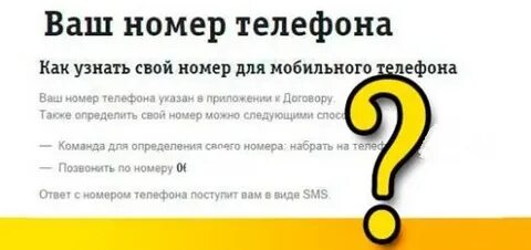 Добавь в мой номер