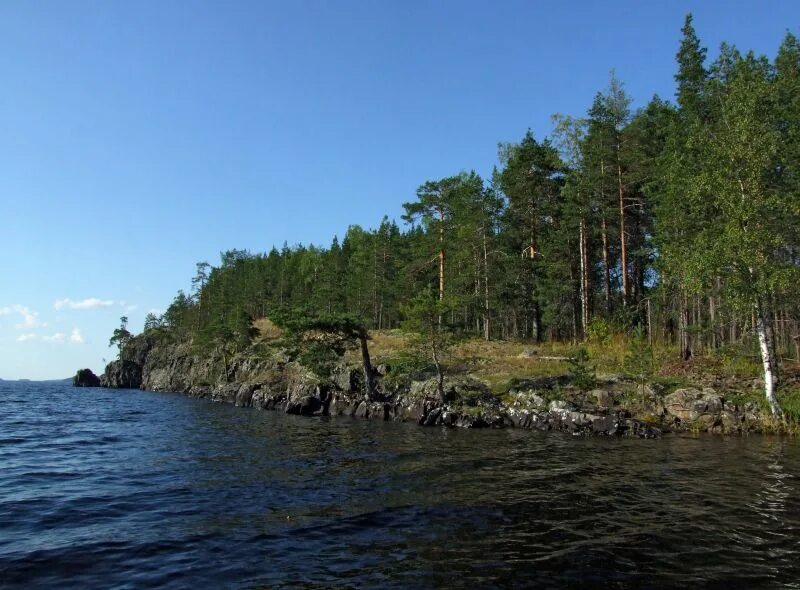 остров уницкая губа. губа святуха онежского озера. онежское озеро губы. кий остров онега. уницкая губа онежского озера.