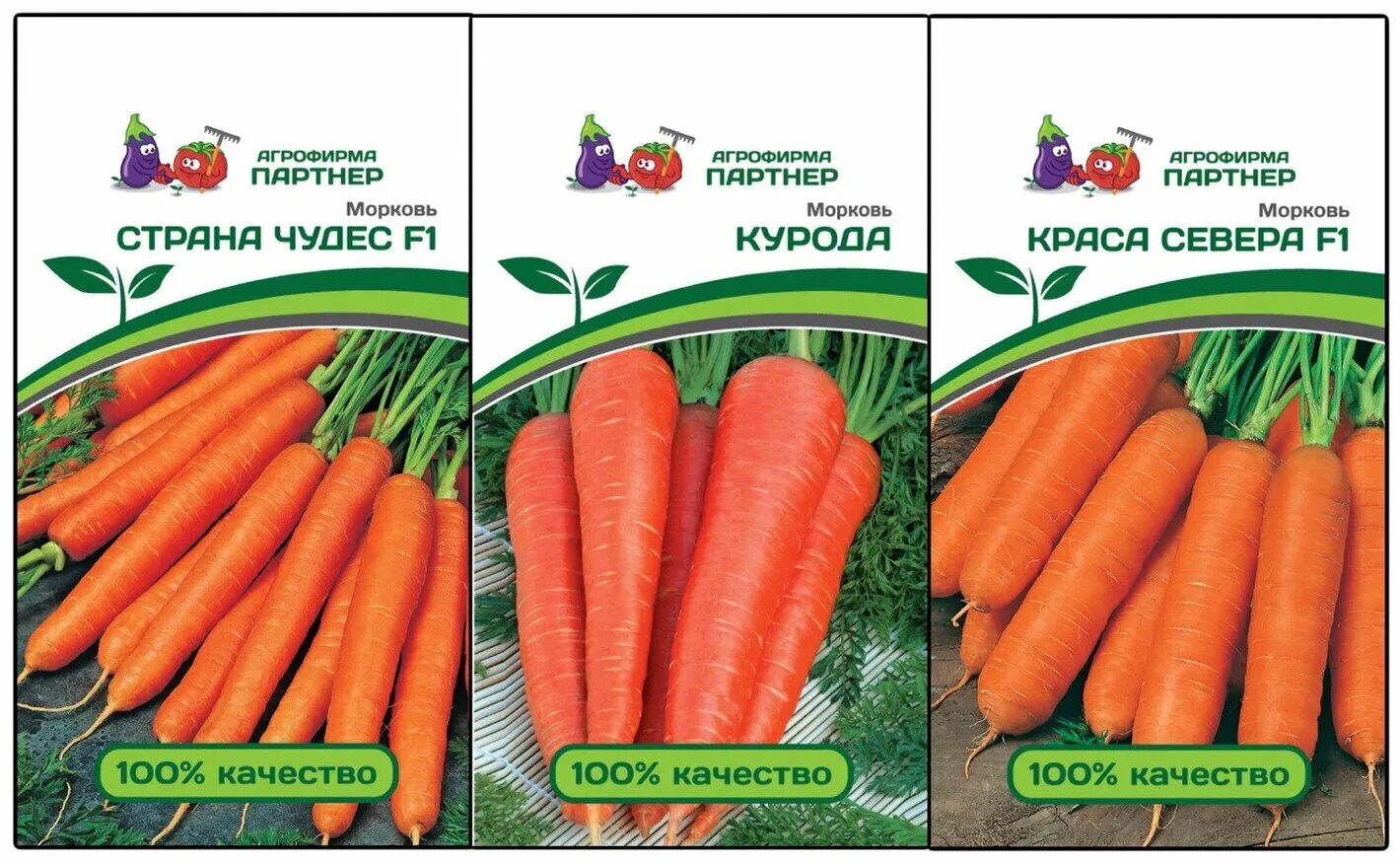 Семена партнер купить интернет магазин каталог 2024. Агрофирма партнер морковь. Морковь Курода партнер. Морковь партнер семена. Семена моркови фирмы партнер.