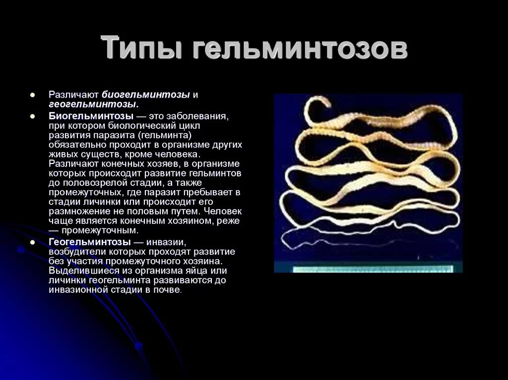 Гельминтозы заболевания. Глистные заболевания гельминтозы. Гельминтозы презентация. Глистные заболевания презентация. Биогельминтозы