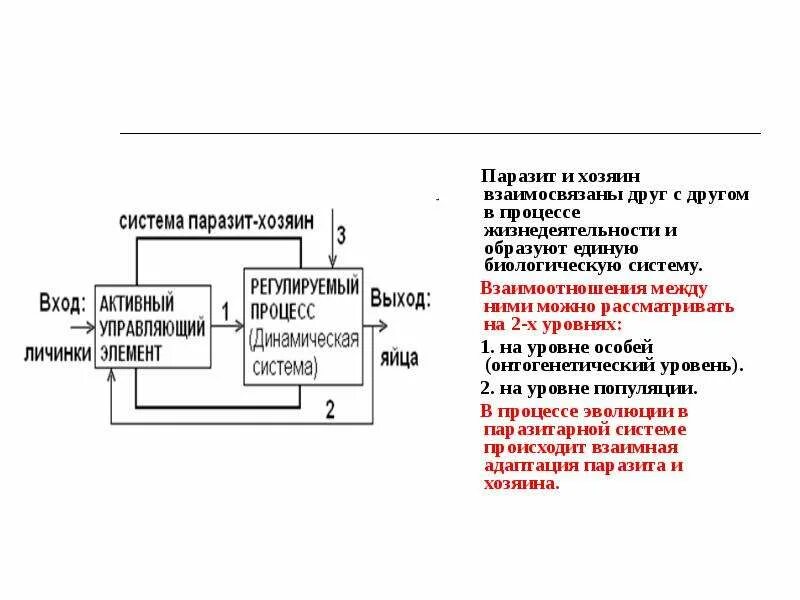 Отношения паразита и хозяина ответ. Взаимодействие паразита и хозяина. Разновидности взаимодействия между паразитом и хозяином:. Уровни взаимодействия паразита и хозяина. Взаимодействие паразита и хозяина на уровне особей.