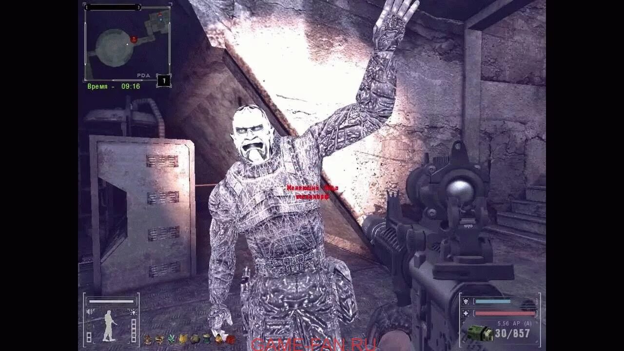 сталкер упавшая звезда что такое шпалер. упавшая звезда честь наёмника бар. сталкер упавшая звезда честь наемника. E. L.