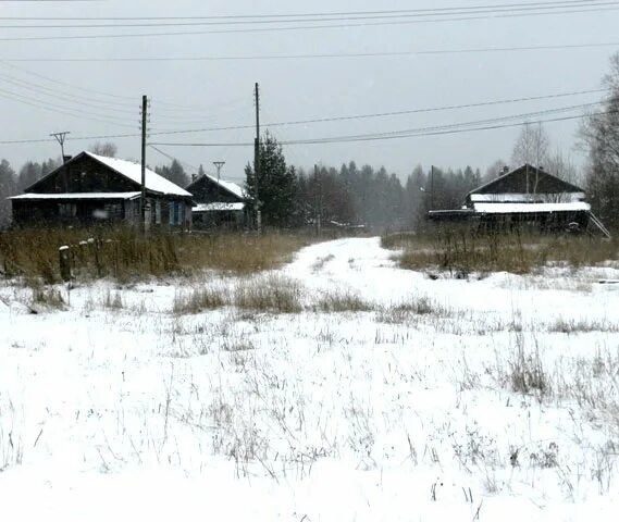 Погода пермский край шабуры. Шабуры кировская область. Погода пермский край шабуры. Погода пермский край шабуры. Деревня шабуры пермский край.