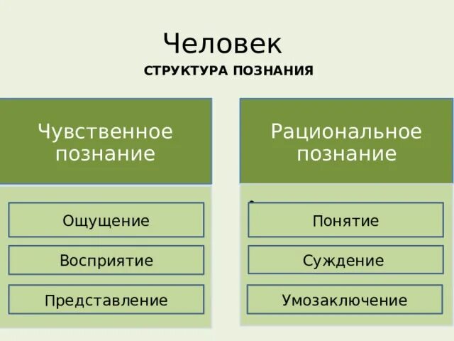 Исходным элементом познания является. Чувственное и рациональное познание. Схема познание чувственное и рациональное. Формы чувственного и рационального познания. Формы рационального познания в философии.