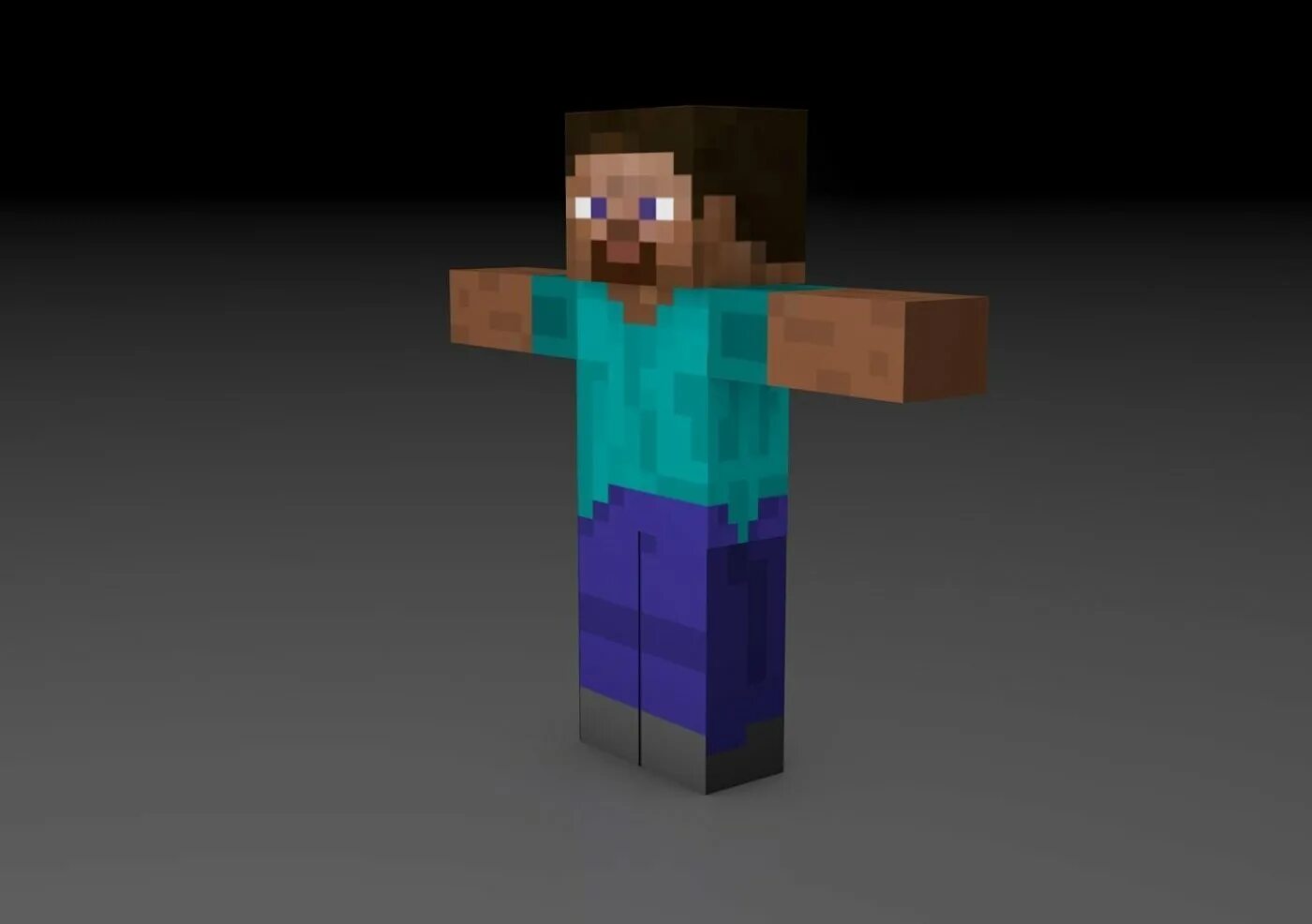 Steve photo