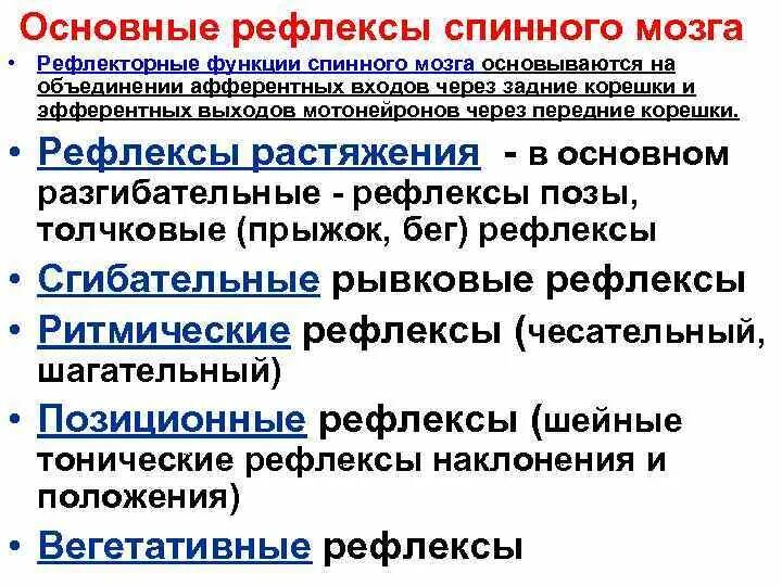 Общие рефлексы. Рефлексы спинного мозга. Разгибательные рефлексы. Сгибательные рефлексы фазные и тонические. Патологические разгибательные рефлексы.