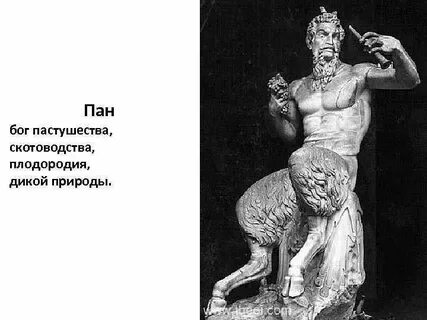 Нова пана