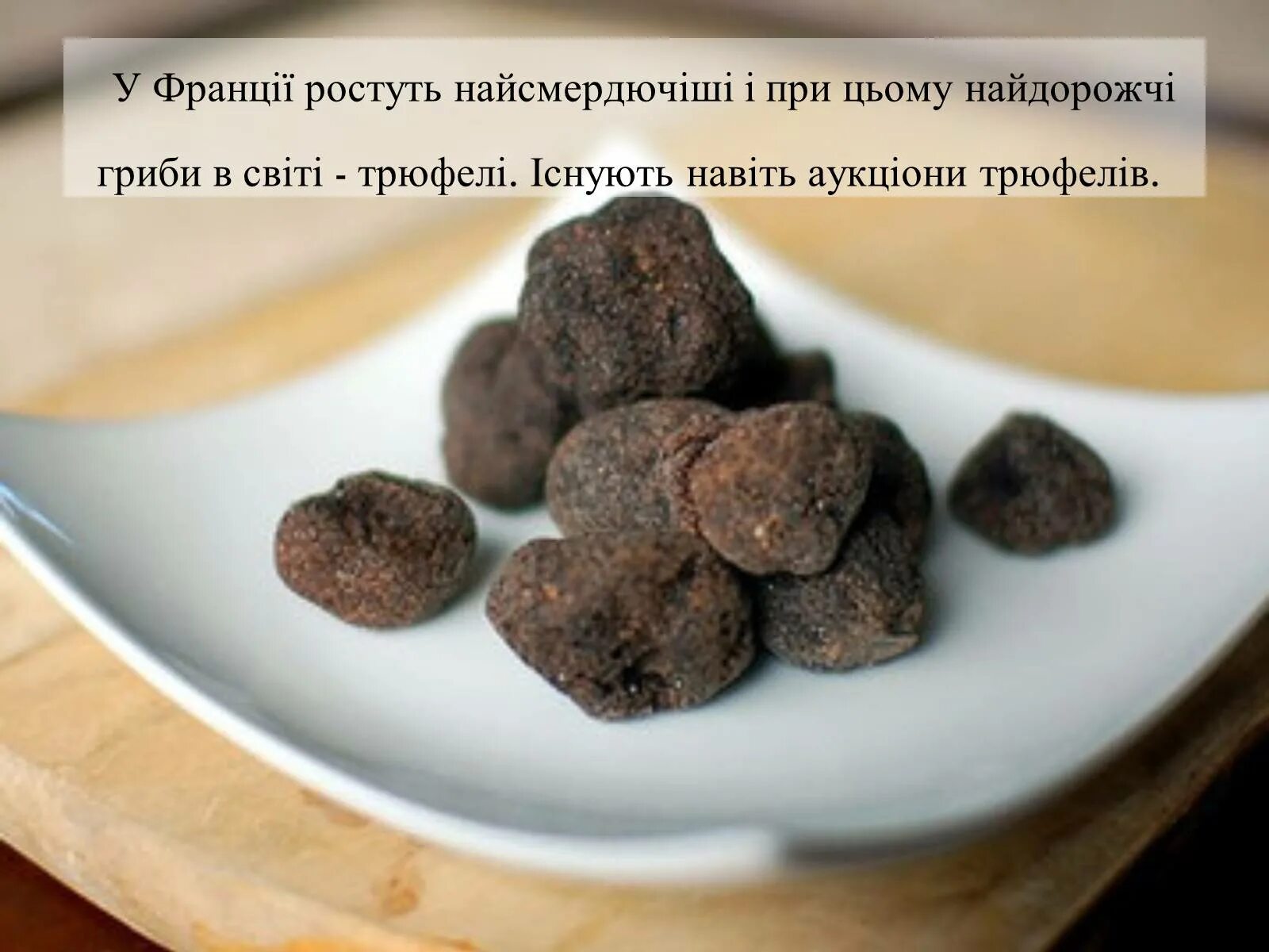 Трюфели минск. Французский трюфель гриб. трюфели афродизиаки. гриб черный трюфель. трюфель деликатес.