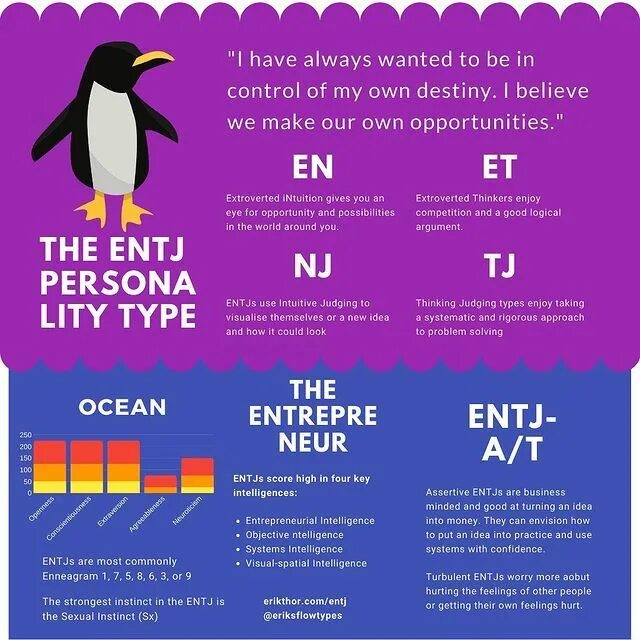 Mbti functions. Когнитивные функции mbti. entj функции. entj когнитивные. entj когнитивные функции.