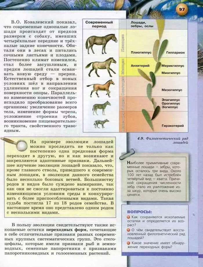 Темы по биологии 10 11