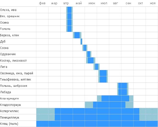 Календарь пыльцы. Календарь цветения. Цветение аллергия календарь. Период цветения ольхи. Периоды цветения для аллергиков.