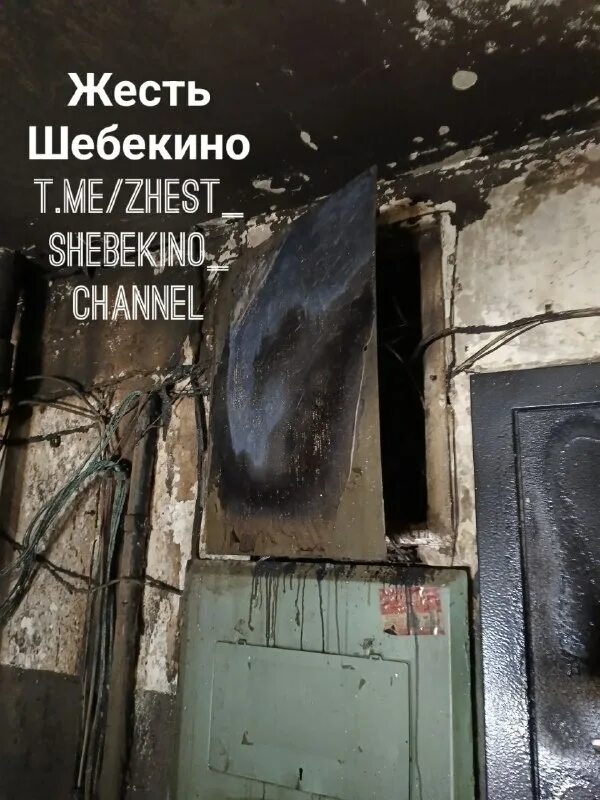 Жесть шебекино телеграмм канал. Жесть шебекино телеграмм канал. Жесть шебекино телеграмм канал. Жесть шебекино телеграмм канал. Жесть шебекино телеграмм канал.
