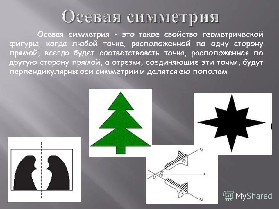 Тип симметрии мыши. Осевая симметрия. Осевая симметрия понятие. Аксиальная симметрия. Ось симметрии примеры.