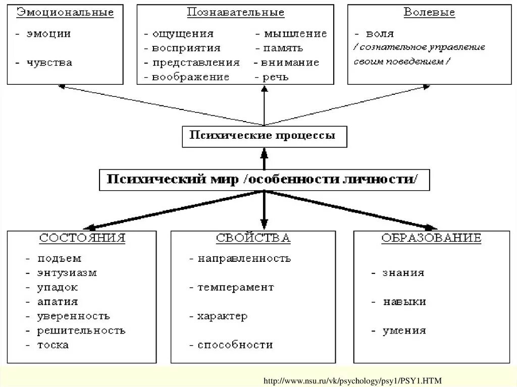 Познавательный процесс личности и эмоционально волевая сфера. Познавательные психические процессы схема. Познавательные процессы волевые процессы эмоциональные процессы это. Эмоционально волевые процессы и психические состояния. Эмоции это психический процесс