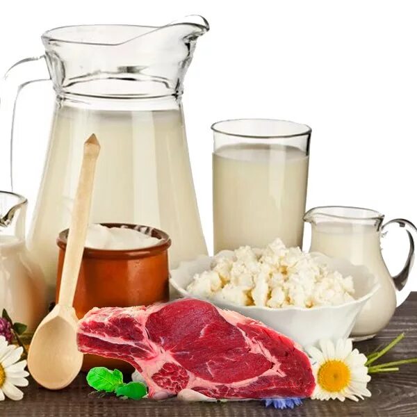 Молоко сливки мясо. Пищевые животные жиры. Молочные и мясные продукты. Кисломолосныепродукты. Молочная продукция.