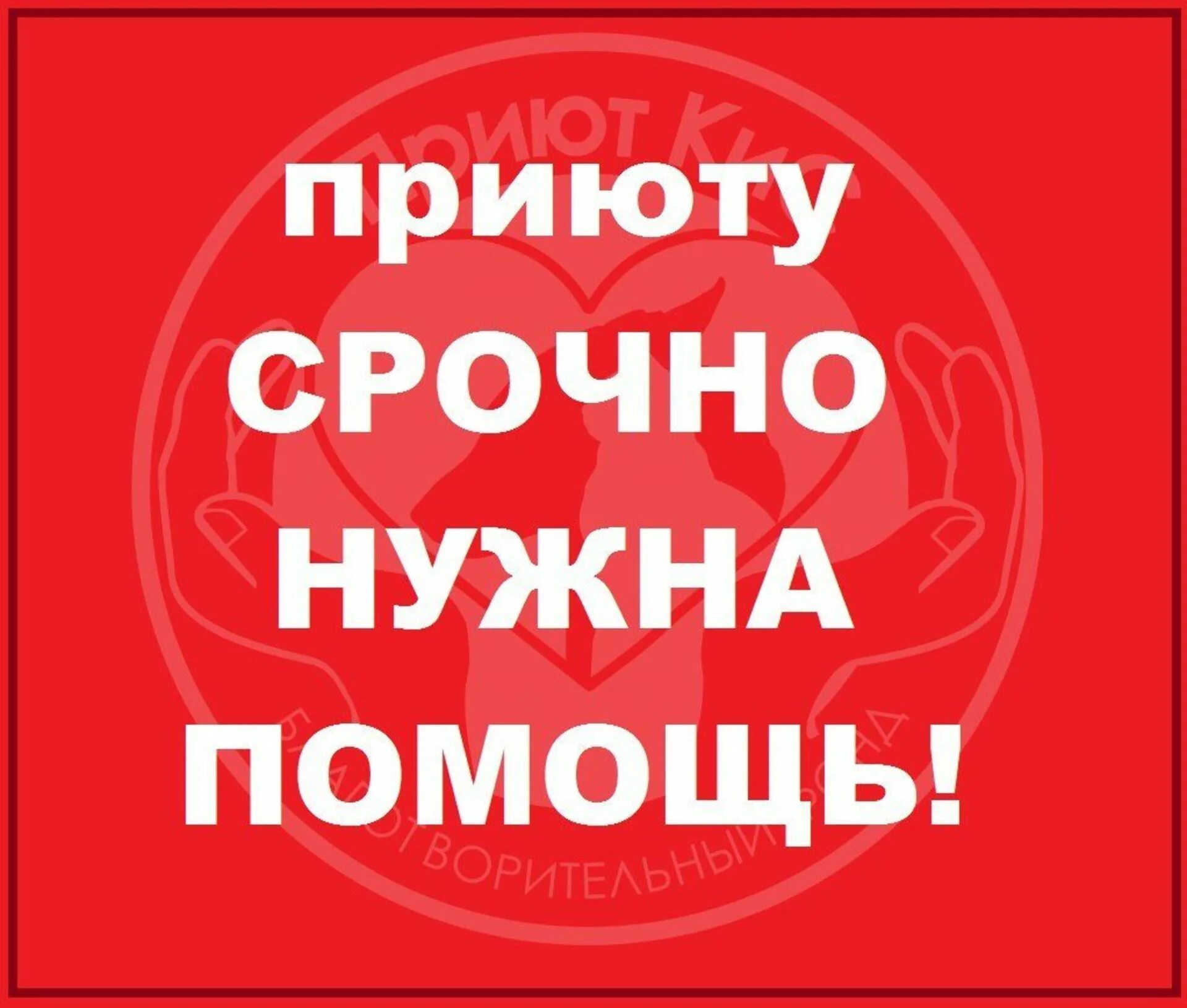 Помогите нужен сайт. Нужна помощь. Срочно нужна помощь. Помощь приюту. Приюту срочно нужна помощь.