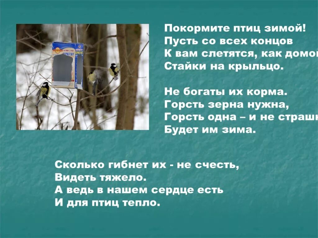 Как спасти животных зимой. Как помочь животным зимой. покормите животных зимой. как помочь животным зимой 2 класс. рассказ как помочь животным в зимнее время.