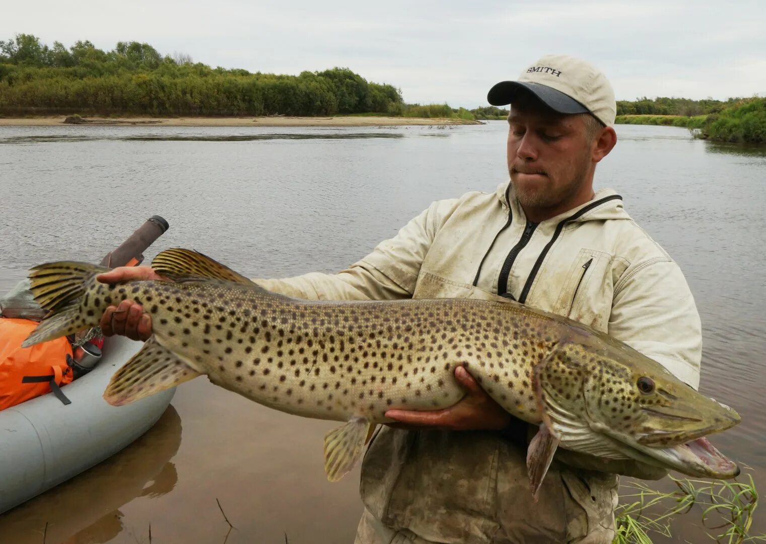 Амурская леопардовая щука. Щука Esox Lucius. Амурская пятнистая щука. Амурская тигровая щука. Щука россия