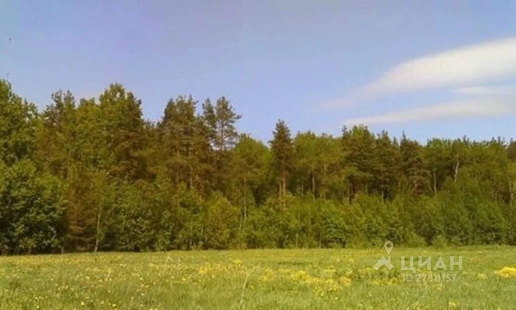 Зубовское, д. Дер воронино. 88. Дер воронино. Село пашня томская область.