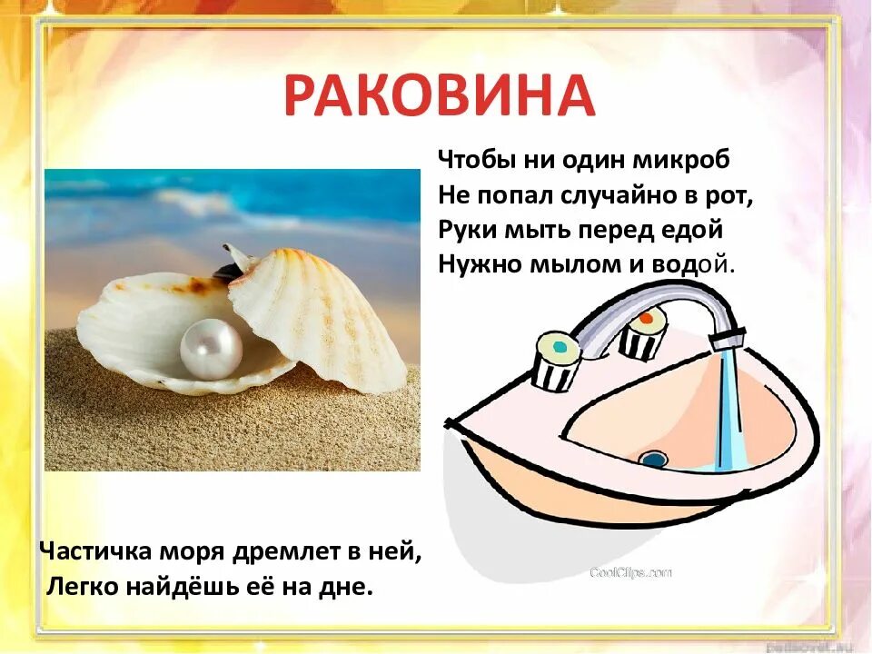 Морские двустворчатые моллюски. Тридакна морской гребешок. Загадки ракушки. Интересные ракушки. Загадка про раковину для детей.