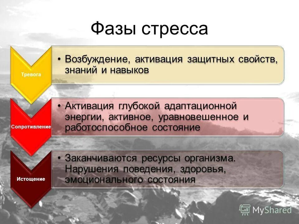 Выберите стадии стресса