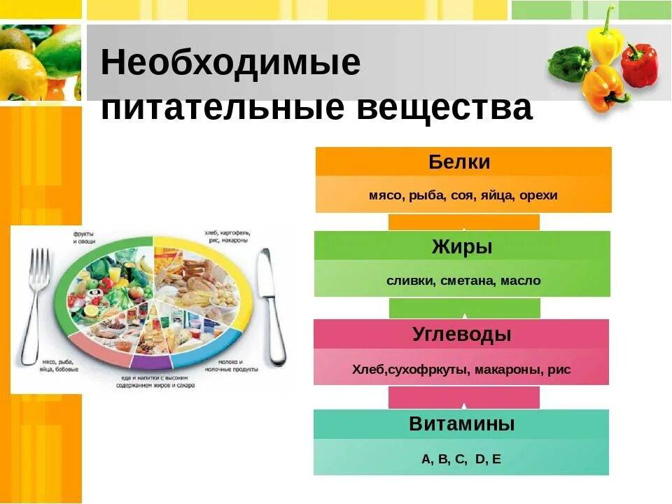 Основные источники белков жиров углеводов. Белки жиры углеводы источники. Схема белки жиры углеводы витамины. Питательные вещества белки жиры углеводы схема. Необходимые питательные вещества для организма.