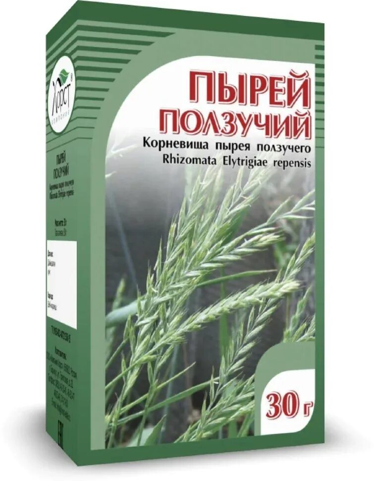 Что лечит пырей. Пырей ползучий корневище. пырей ползучий корень. корневище пырея. пырей корень.
