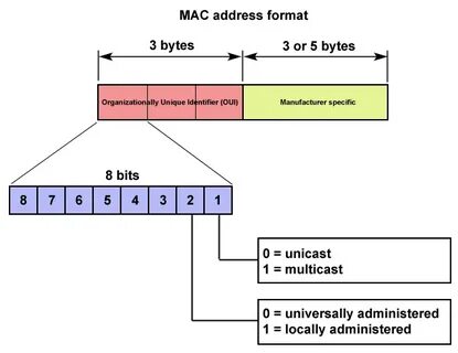 Find mac address