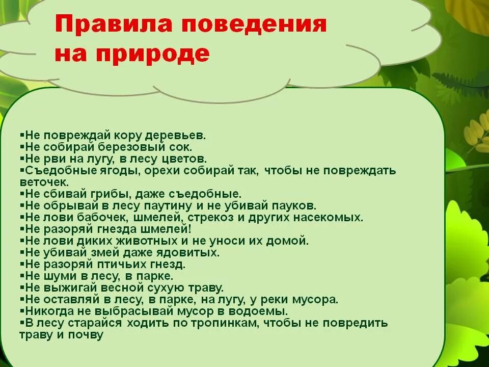 Правила поведения в условиях природного. Правила поведения на природе. Правила поведения втприроде. Правила поведения на прирол. Правила поведения намприроде.