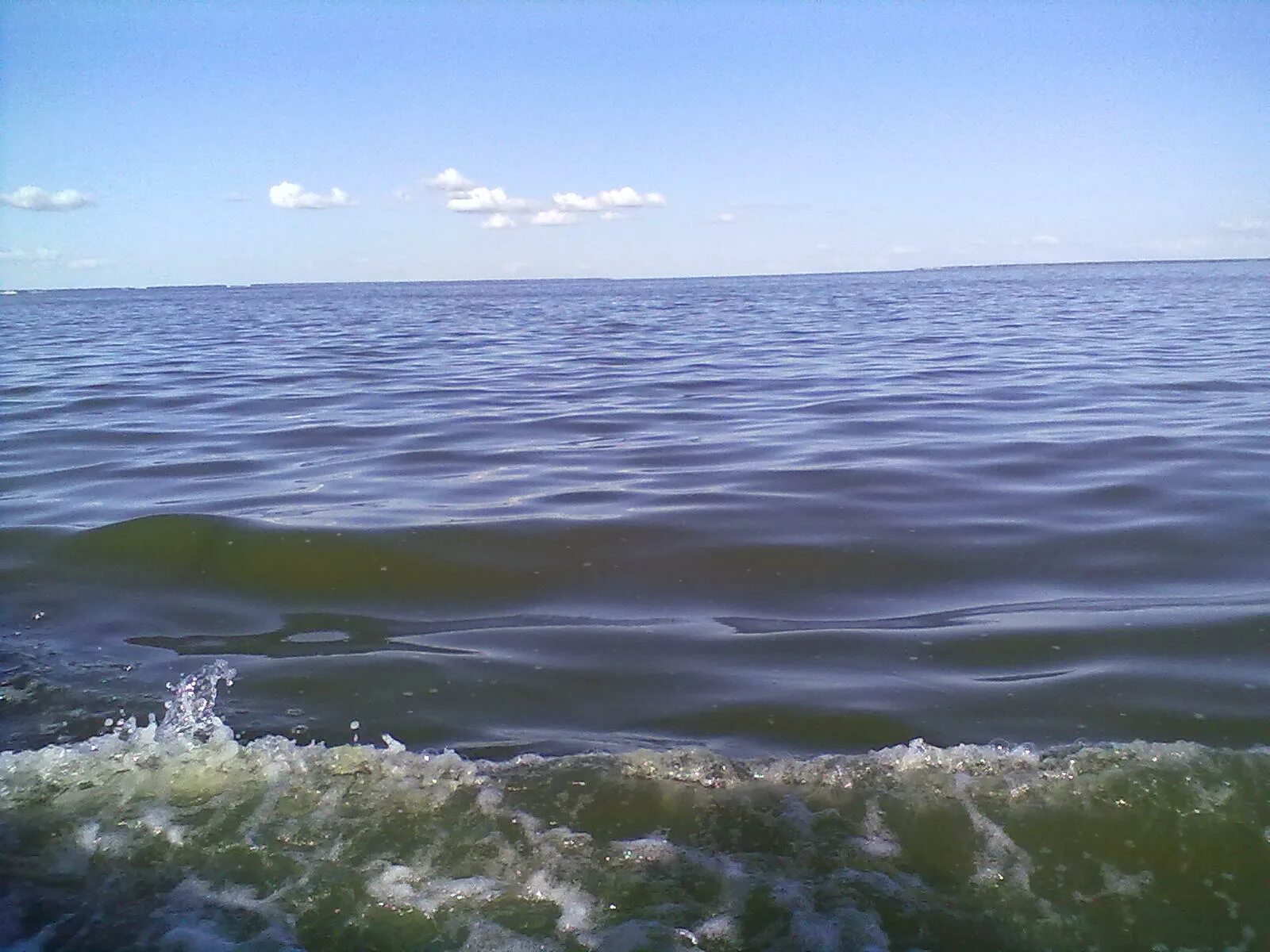 Озеро Салтаим Крутинский район. Озеро ИК Крутинка. Озеро ИК Омская область. Озеро салтаим омская