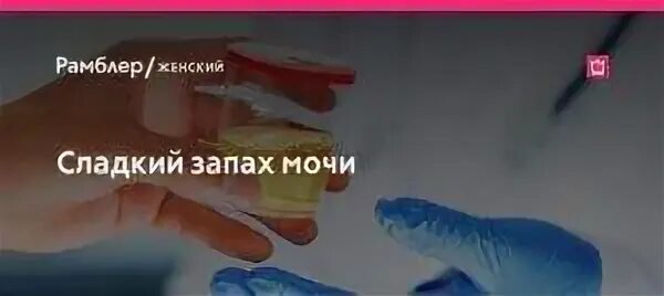Моча кошки пахнет аммиаком. Запах мочи. сладковатый запах мочи у женщин. сладкий запах мочи у женщин. моча пахнет сладковатым запахом.
