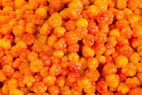 Литр морошки