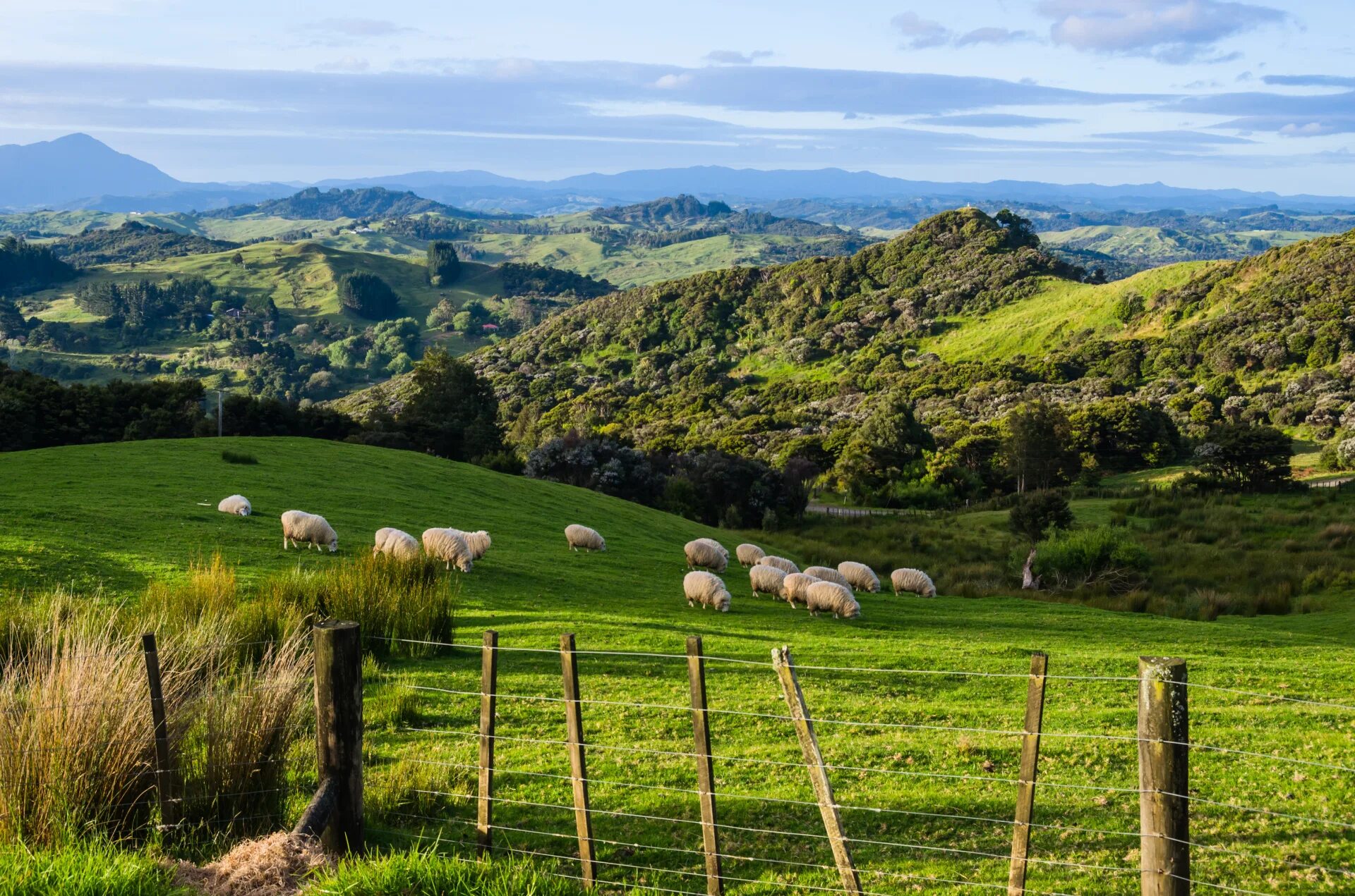 Новозеландия пейзажи. Новая зеландия сельское хозяйство. Greens new zealand. Новая зеландия хоббитон. Агродом новая зеландия.