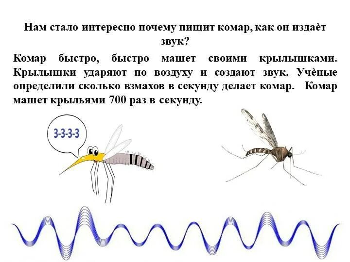 Звук комаров. Звук комара. Комариный звук. Почему комары пищат. Полетели звуки