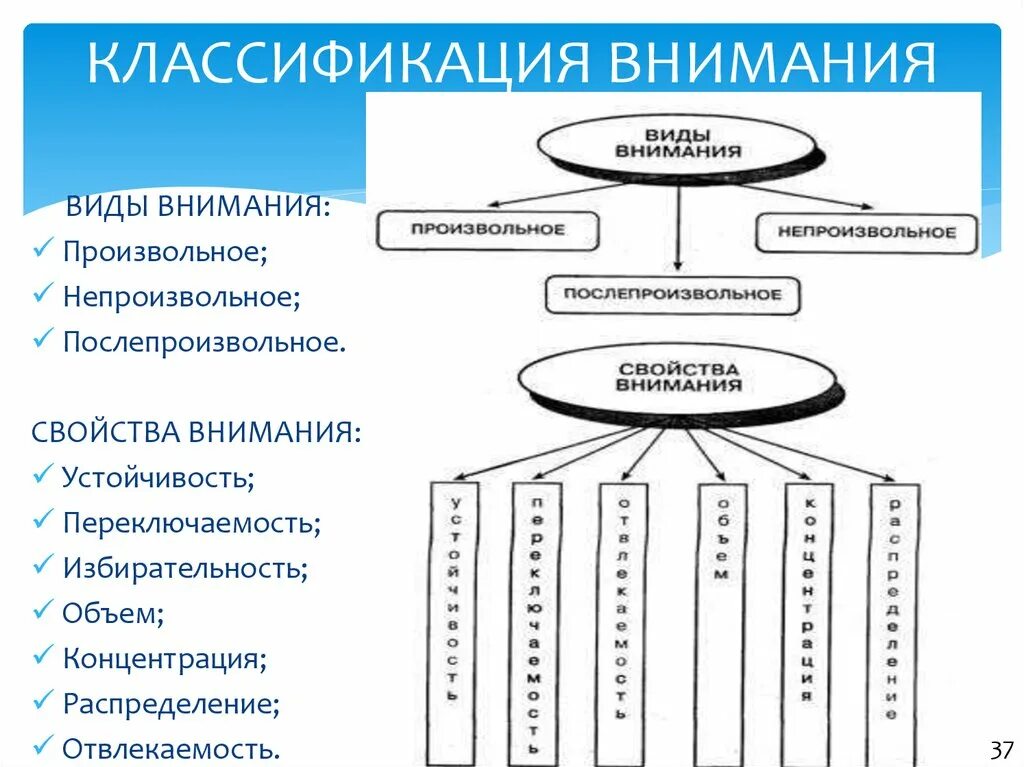 Элементы внимания